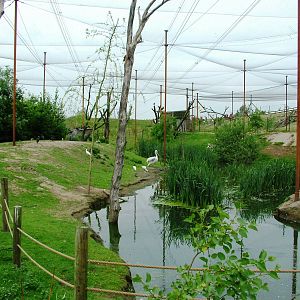 Walkthrough Aviary at Dierenrijk, 31/05/12