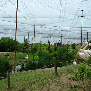 Walkthrough Aviary at Dierenrijk, 31/05/12