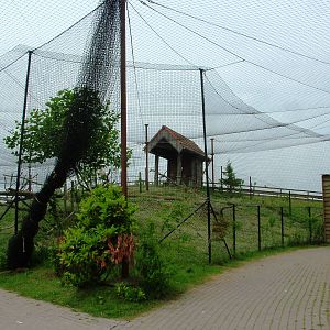 Walkthrough Aviary at Dierenrijk, 31/05/12