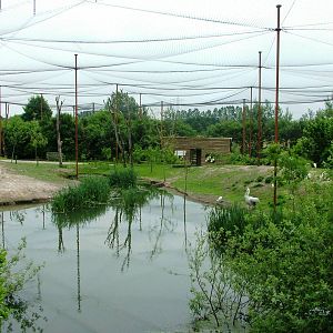 Walkthrough Aviary at Dierenrijk, 31/05/12