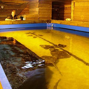 Ray House at Dierenrijk, 31/05/12