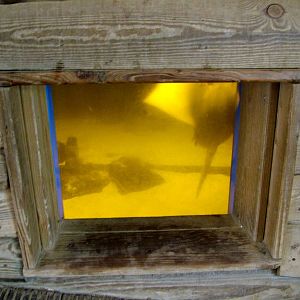 Ray House at Dierenrijk, 31/05/12