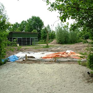 Moose to Lion Conversion at Dierenrijk, 31/05/12