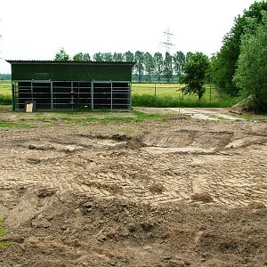 Moose to Lion Conversion at Dierenrijk, 31/05/12