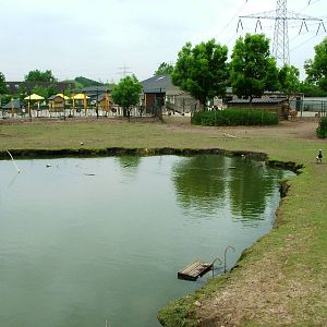 Deer Paddock at Dierenrijk, 31/05/12