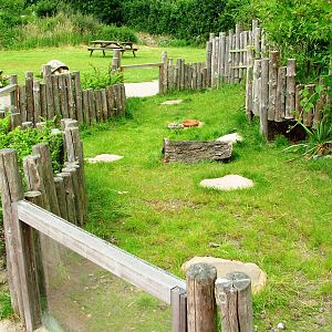 Tortoise Exhibit at Dierenrijk, 31/05/12