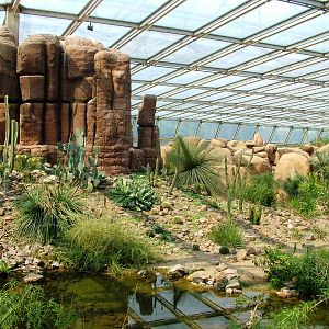 Desert Interior at Burgers Zoo Arnhem, 30/05/12