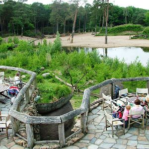 Burgers Safari at Burgers Zoo Arnhem, 30/05/12