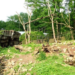 Rimba at Burgers Zoo Arnhem, 30/05/12