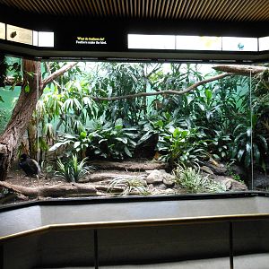 Bronx Zoo- World of Birds- Mixed Exhibit