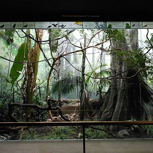 Bronx Zoo- World of Birds- Large Mixed Exhibit