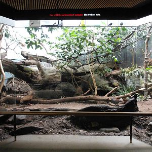 Bronx Zoo- World of Birds- Mixed Galliformes Exhibit