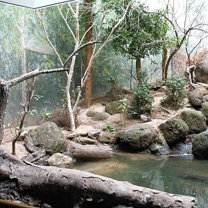 Bronx Zoo- World of Birds- Part 1 of Forest Exhibit