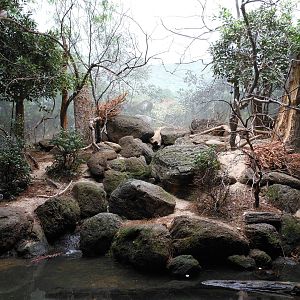 Bronx Zoo- World of Birds- Part 2 of Forest Exhibit