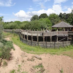 Cheetah Enclosure Panorama - 29/07/2012
