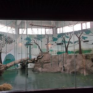Third Indoor Gorilla Area