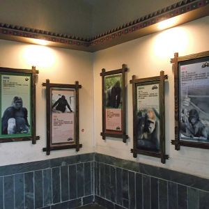 Gorilla info signs