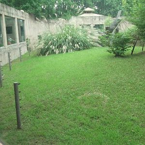 Gorilla enclosure 1