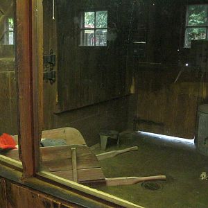 New England Farmyard- Domestic Cat Exhibit