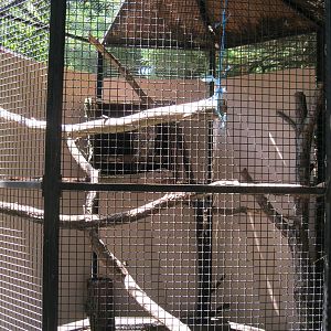 New England Farmyard- Great Horned Owl Exhibit