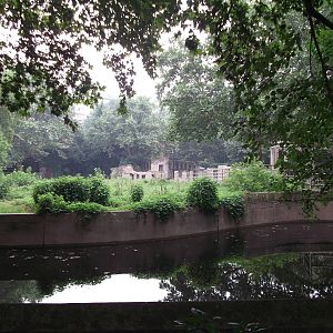 View towards the Elephant enclosure ...