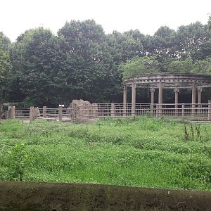 Elephant outdoors ...