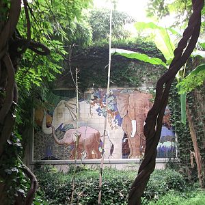 In front of the Elephant house