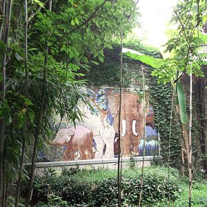 In front of the Elephant house 2