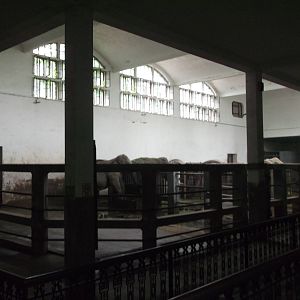 Elephant House interior