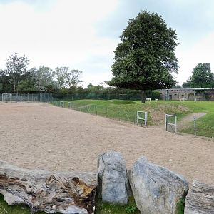 Onager and Camel Paddock Panorama - 29/07/2012