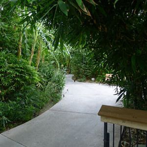 path in South America