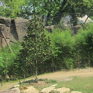 Jul. 2012-Netting between the White and Malayan Tigers