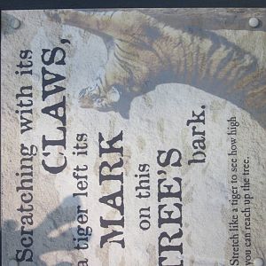 Jul. 2012-Tiger Scratch Post sign