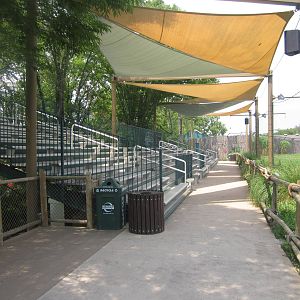 Jul. 2012-Cheetah Encounter Seating Viewing