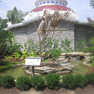 Jul. 2012-Cockatoo Island