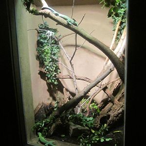 Jul. 2012-Green Tree Monitor exhibit