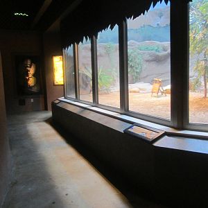 Jul. 2012-Komodo Dragon Indoor Exhibit vieiwng