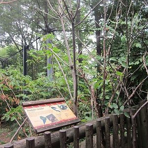 Jul. 2012-Andean Condor aviary