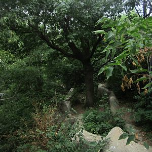 Jul. 2012-Andean Condor aviary