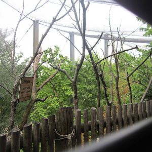 Jul. 2012-Steller's Sea Eagle aviary
