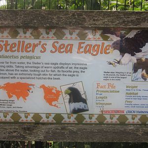 Jul. 2012-Sea Eagle sign