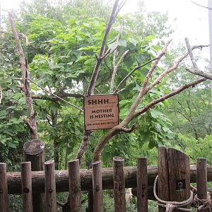 Jul. 2012-Steller's Sea Eagle aviary