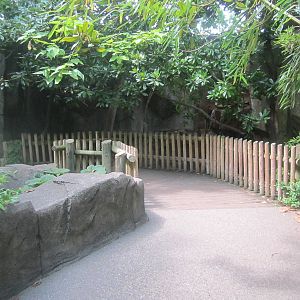 Jul. 2012-Entrance Path in Gorilla World