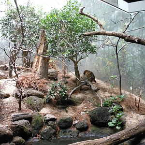 Bronx Zoo- World of Birds- Part 3 of Forest Exhibit