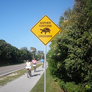Gopher Tortoise Sign, Sanibel Island FL 2012