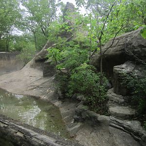 Jul. 2012-Back of Lemur Lookout
