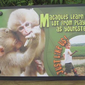 Jul. 2012-Macaque sign