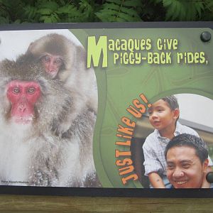 Jul. 2012-Macaque sign