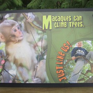 Jul. 2012-Macaque sign