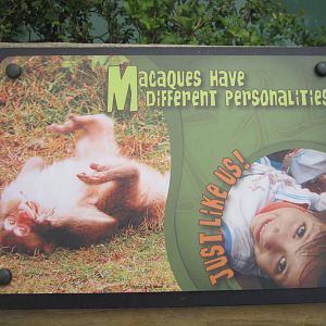 Jul. 2012-Macaque sign
